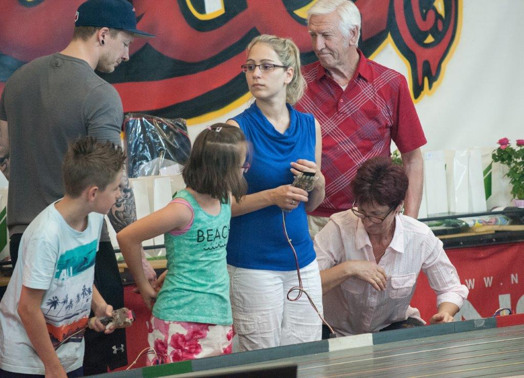 2017-06-02 2017_06_02 UI Slot Car Rennen @ LPD Wien081